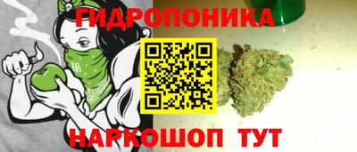 дживик Кузнецк