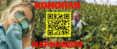 скорость Кудрово