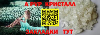 скорость Кудрово