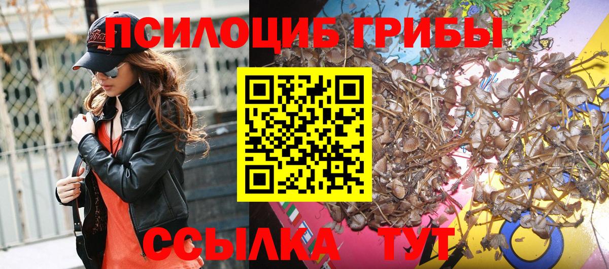 Галлюциногенные грибы GOLDEN TEACHER Бузулук
